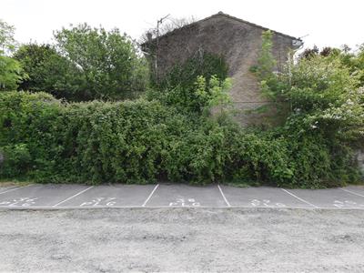 Picture 15